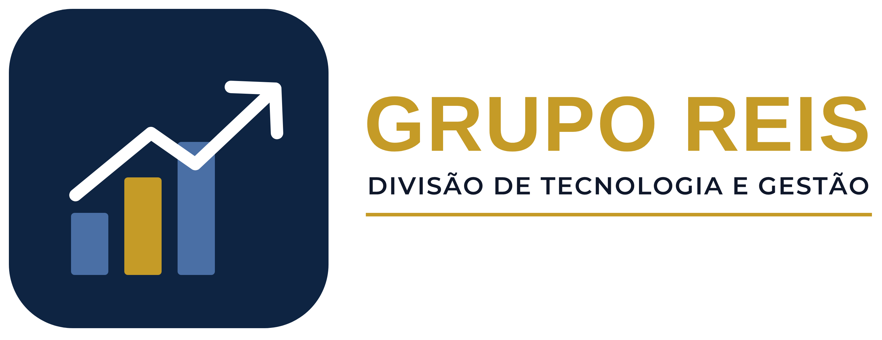 Grupo Reis — Divisão de Tecnologia e Gestão